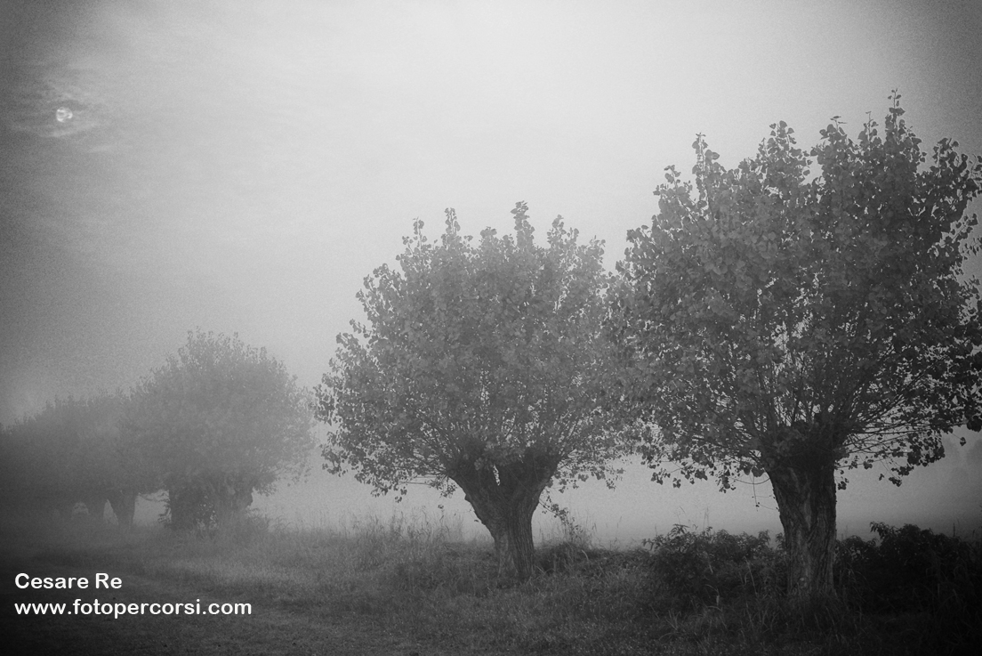 Utilizzare uno zoom di qualità, come il Nikkor 24-70 2,8, consente di scattare anche con poca luce, sfruttando la luminosità elevata. 