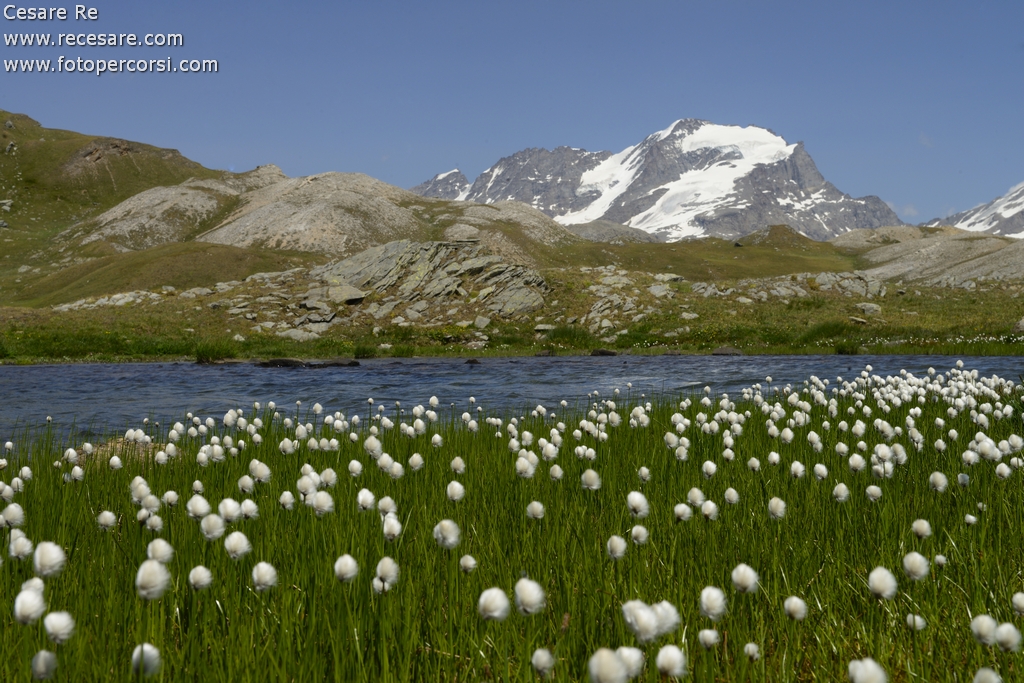 Gran Paradiso, tra Valsavarenche e Valle dell'Orco