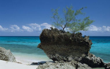 Il mare di Zanzibar