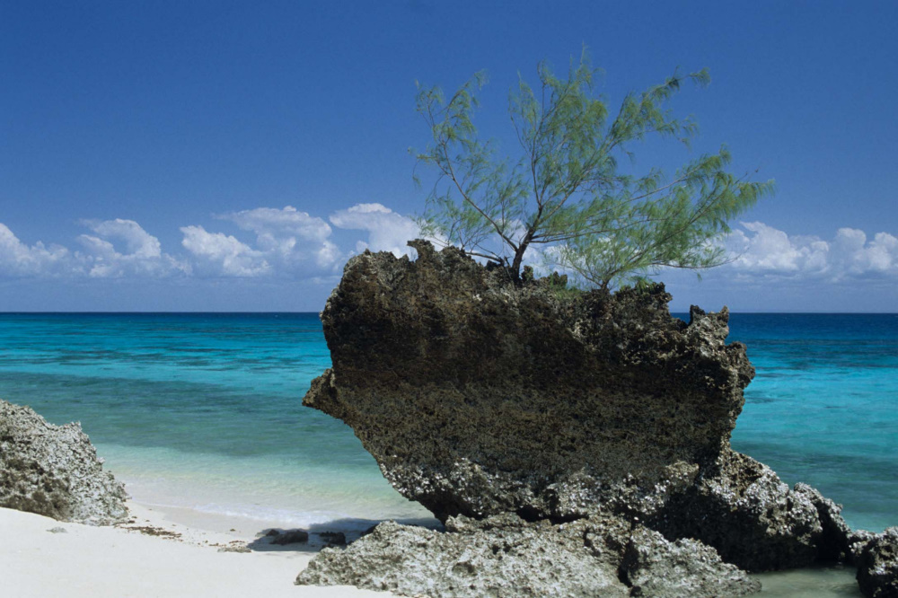 Il mare di Zanzibar