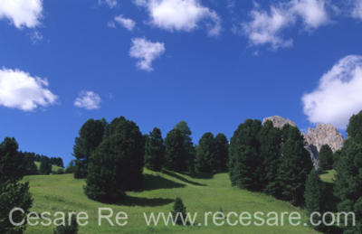 montagna cesare re foto percorsi (19)